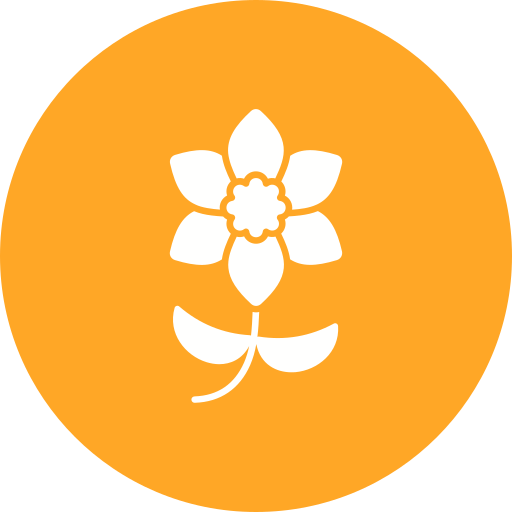 Mamta's Veg Ladies PG